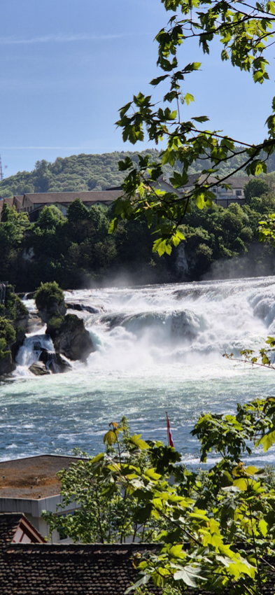 Vue des chutes du Rhin