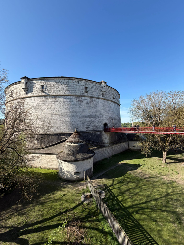 Une tour du Munot