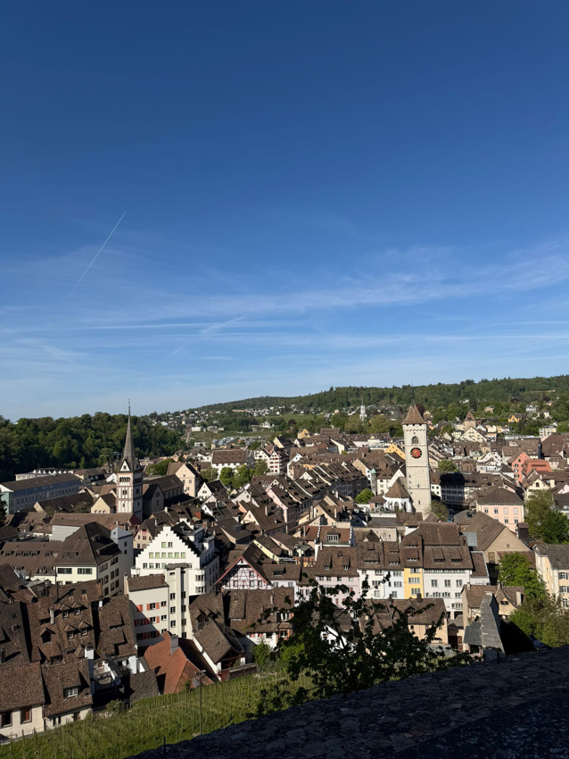 Vue de Schaffhouse