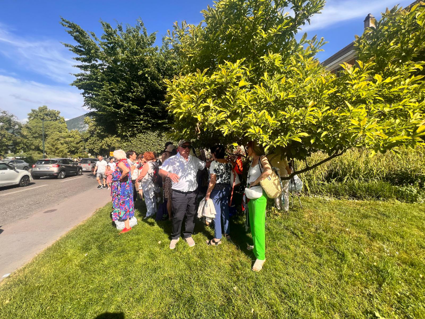 Photo groupe sous un arbre